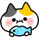 cat_eat_fish