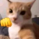 mangopunch