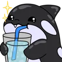 Splashy_SIP