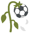 :wilted_rose_football: