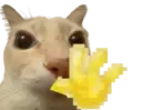 Jyn_hi