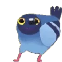 pigeondance pigeondance