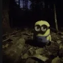 minion_bro