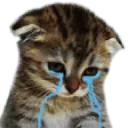7915