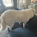 lookingoutthewindow