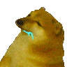 dogshibastab animated emote | Gaming Grid