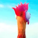 chickenwat