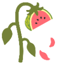 :wilted_rose_watermelon: