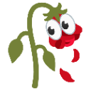 :wilted_rose_with_eyes: