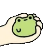 frog_in_hand