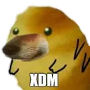 xdm
