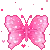 5_pinkmoth
