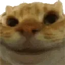 yes