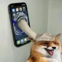 Fox_pat