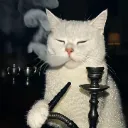 catcatscutecatcutecatsfunnycatsf