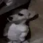 erm