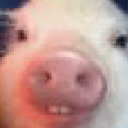 iiggy Discord Emoji | 𝒕𝒉𝒆  • 𝚍𝚎𝚎𝚙 𝚎𝚗𝚍