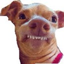 emoji_8 Discord sticker from devil hunter Raid server