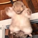 emoji_232 custom emote from The Rogue Syndicate