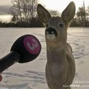 emoji_233 Discord sticker - The Rogue Syndicate