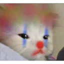clownkitty