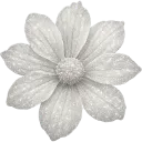 whiteflower