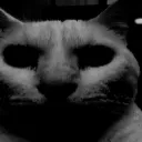 dark_cat