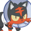 litten_angry