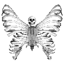 95294skeletonbutterfly