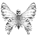 95294skeletonbutterfly Discord sticker | ۶ৎ　‿　cemetery　 ݁ 　˖