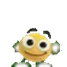 e_06