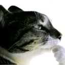 thinking