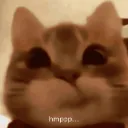 hmpppcat