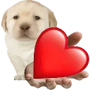LoveBoy