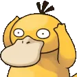 psyduck93