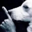 shhh shhh
