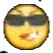 cool_doakes