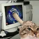 petthecar