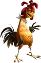 chickenjoe