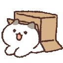 box_cat_appear