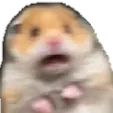 scaredhampter