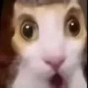 emoji_79