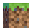 Dirt