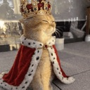 royalcat Discord emoji