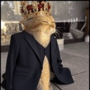 royalfancycat Discord emoji