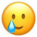 :Sad_bingsho: