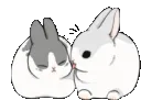 1whitegreybunnylick
