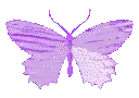 butterfly_purple1