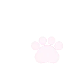 pinkpawsp