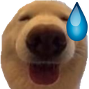 a_doggyuhm Discord sticker - truly ᯓ✩ friends ㆍ giveaways ㆍ tags ㆍ chill ㆍ vc ㆍ hangout ㆍ social ㆍ cute ㆍ emotes ㆍ active ㆍ chat